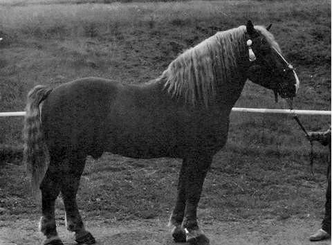 188 Rogdaj